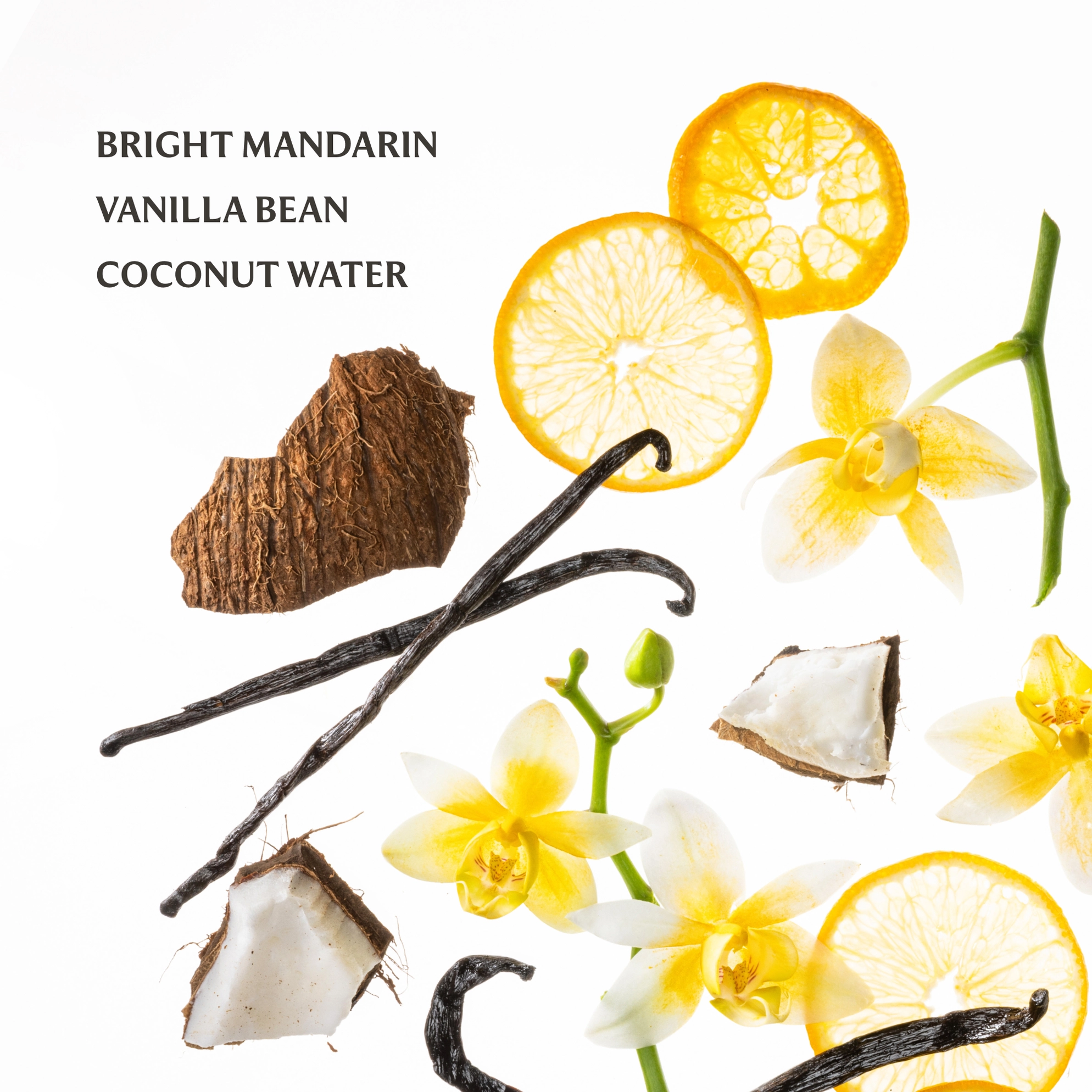 Touchland Hand Sanitizer: Vanilla Blossom