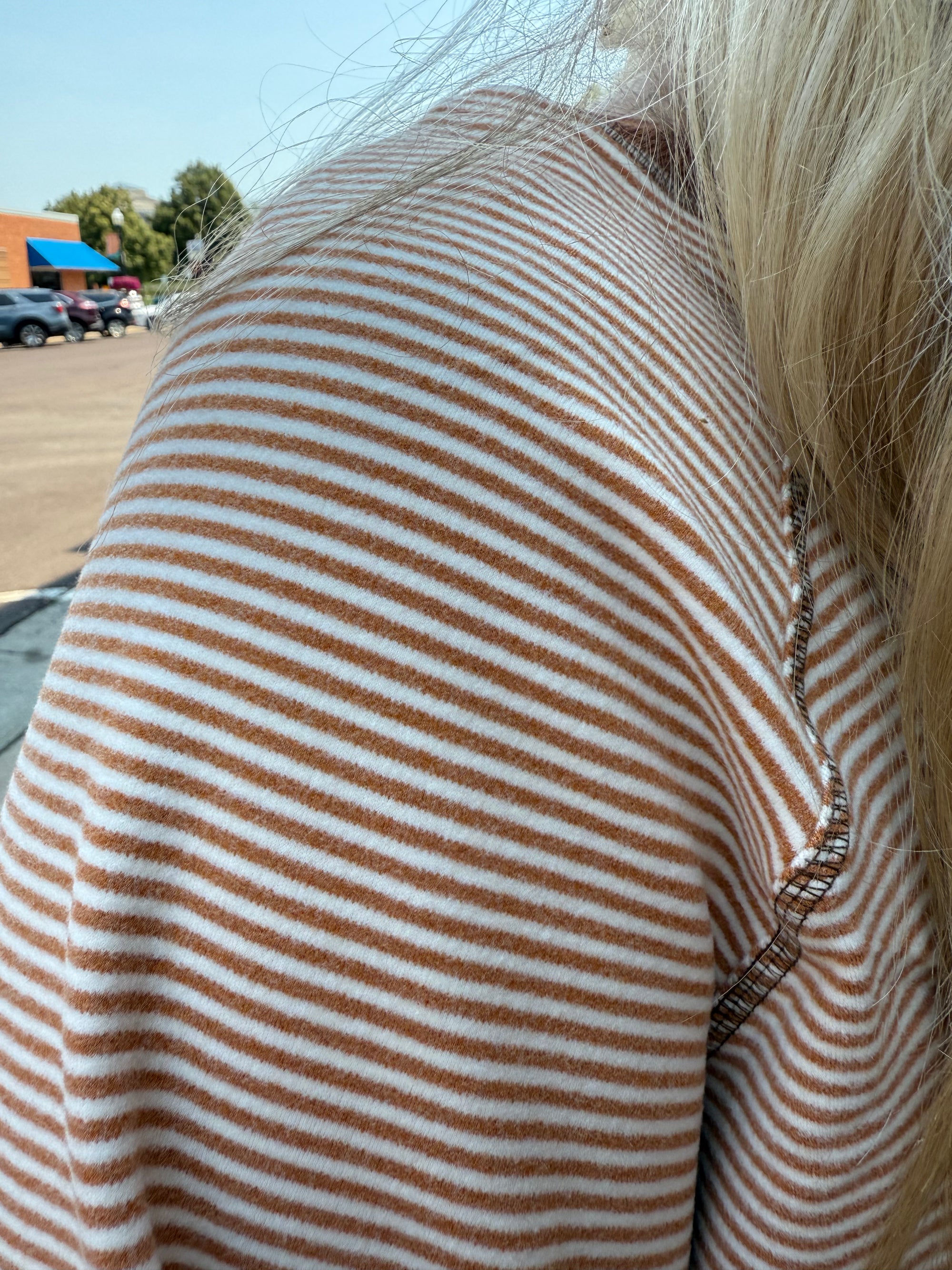 Carson Striped Top