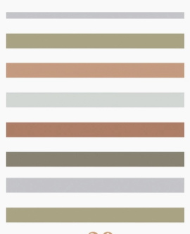 Car Coasters - Multiple Styles