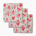 Geometry: Watermelon Slice Dishcloth Set