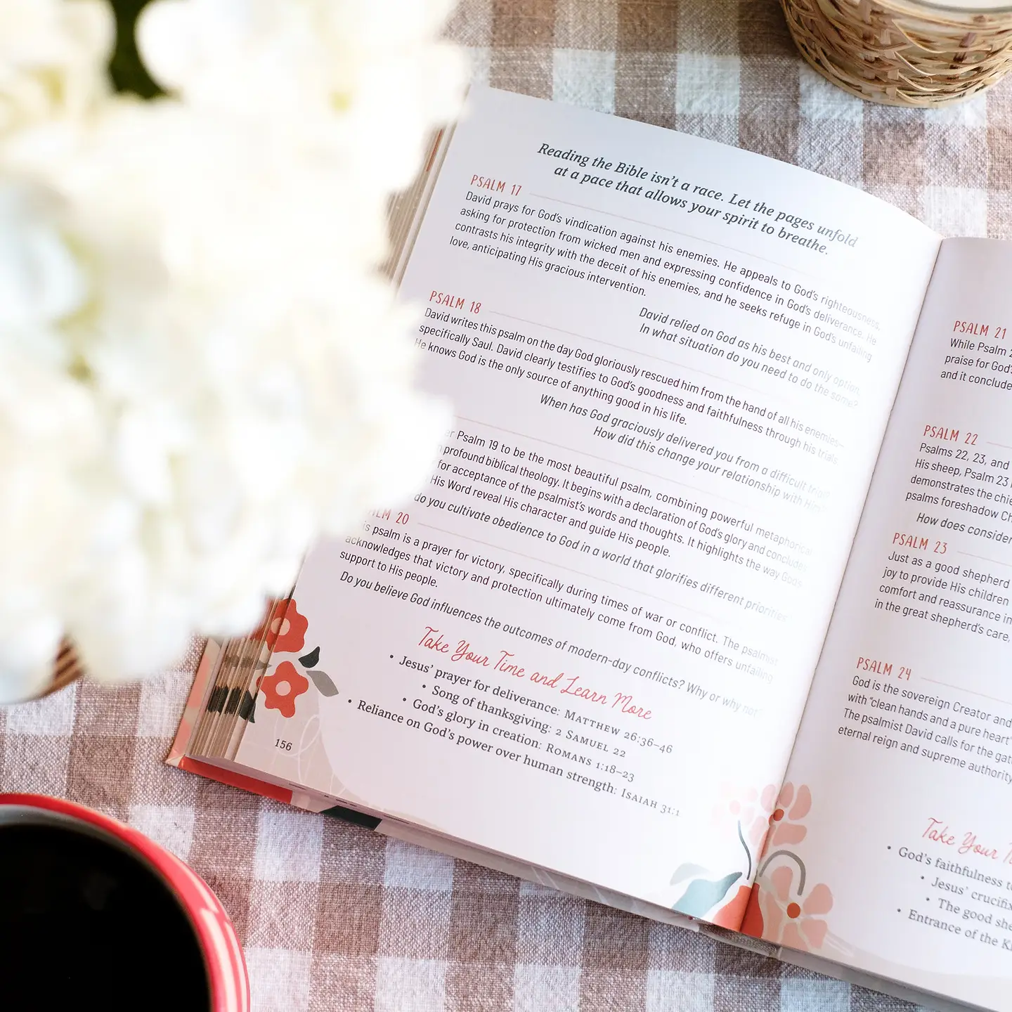 Taking Your Time Through the Bible: A Guide