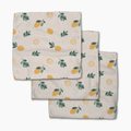 Geometry: Freshly Picked Dishcloth Set