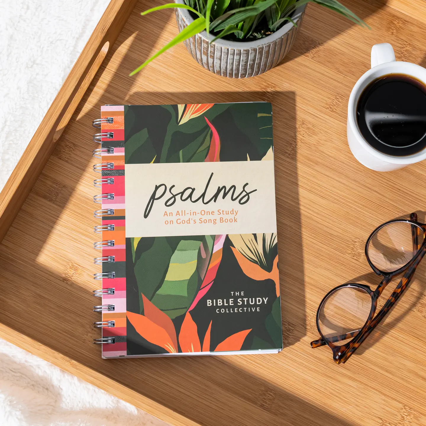 Psalms: All in One Study on God's Song Book