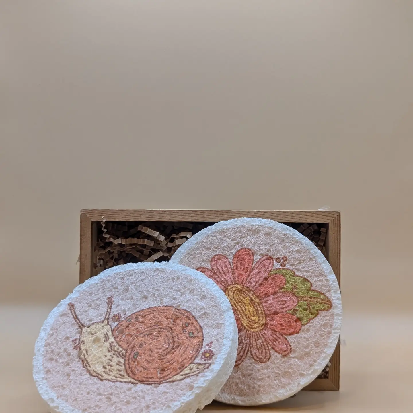 Pop Up Eco Sponges
