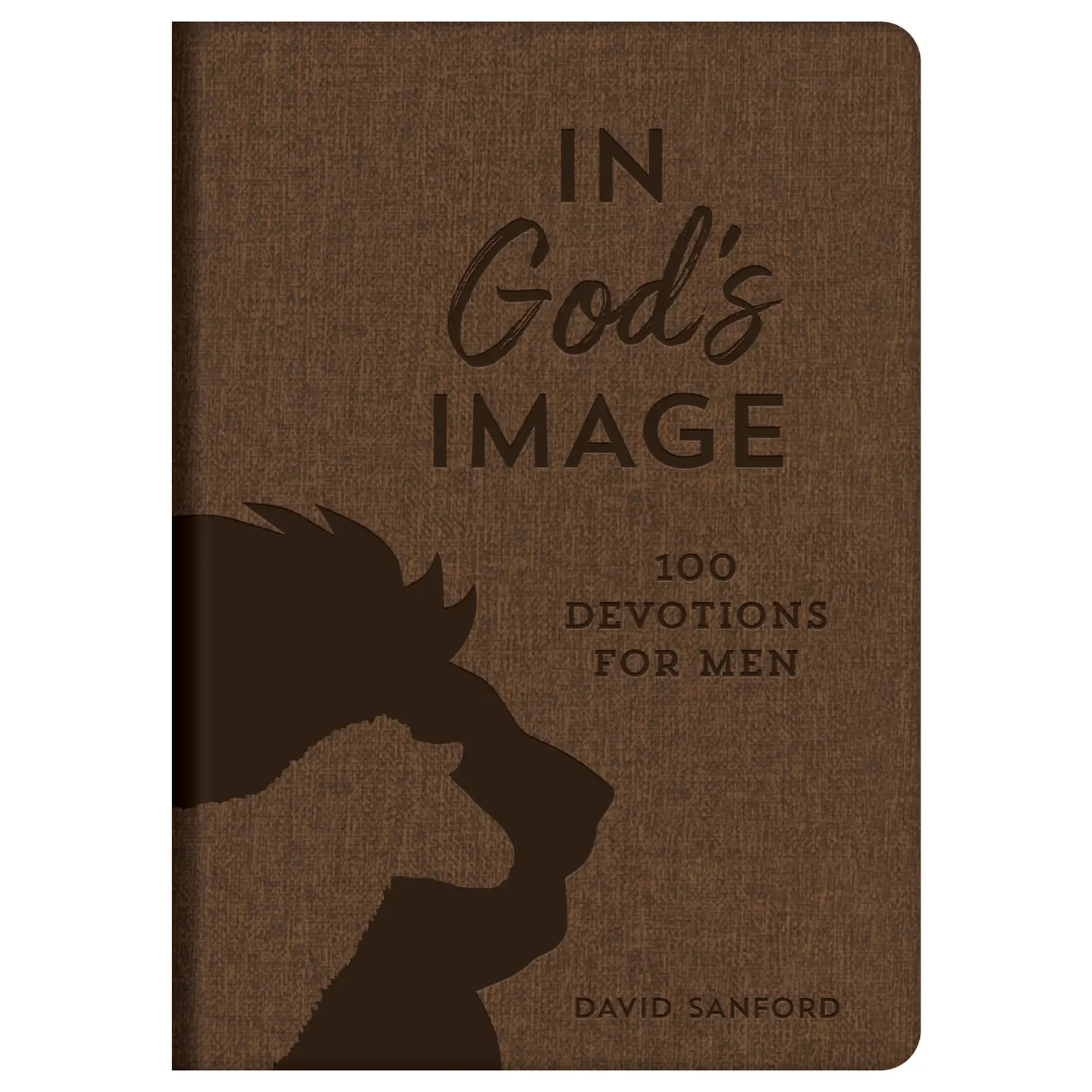 In God's Image: 100 Devotions for Men