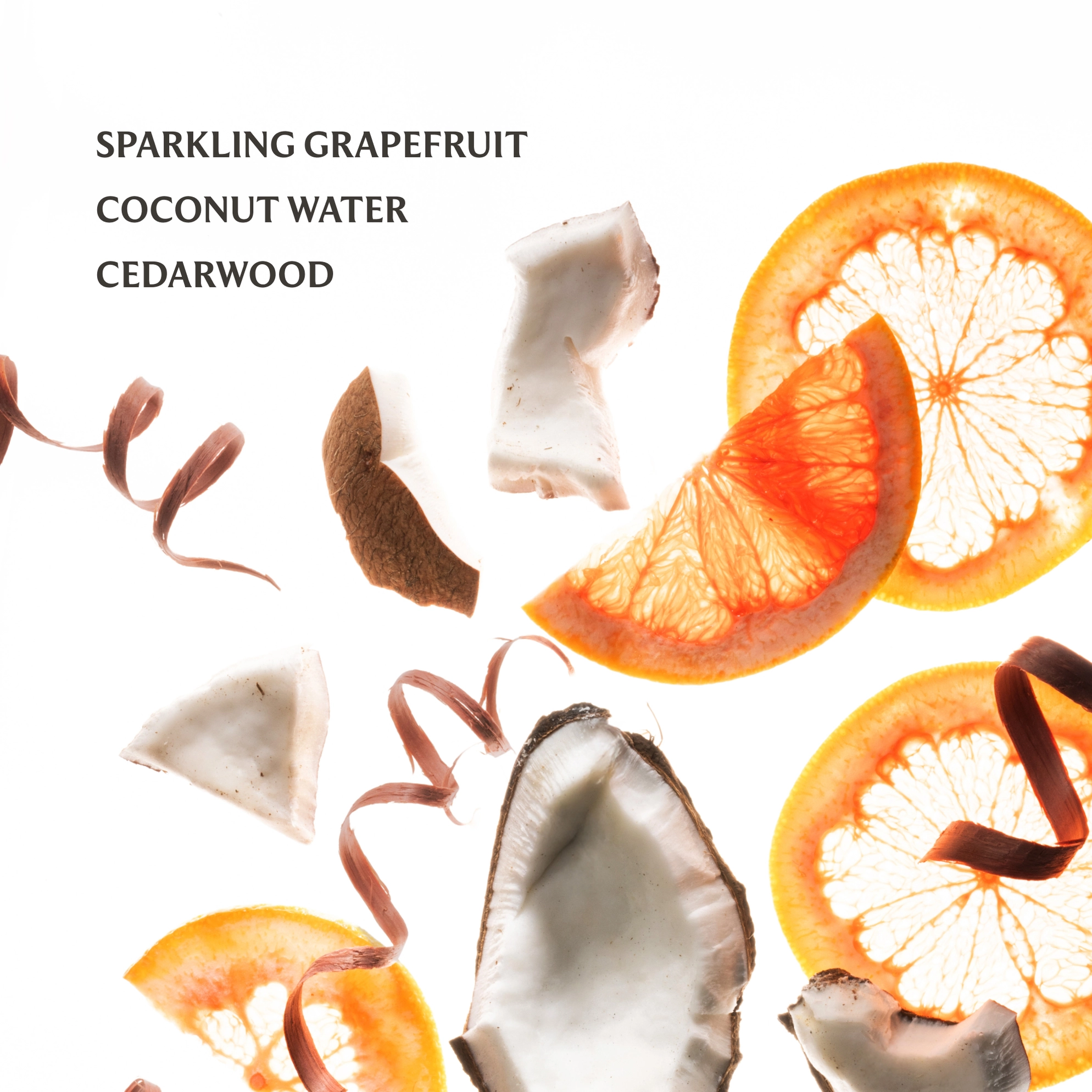 Touchland Hand Sanitizer: Beach Coco