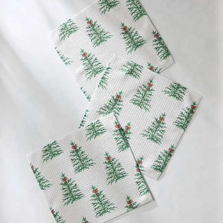 Ellsworth Geometry Dishcloth Set