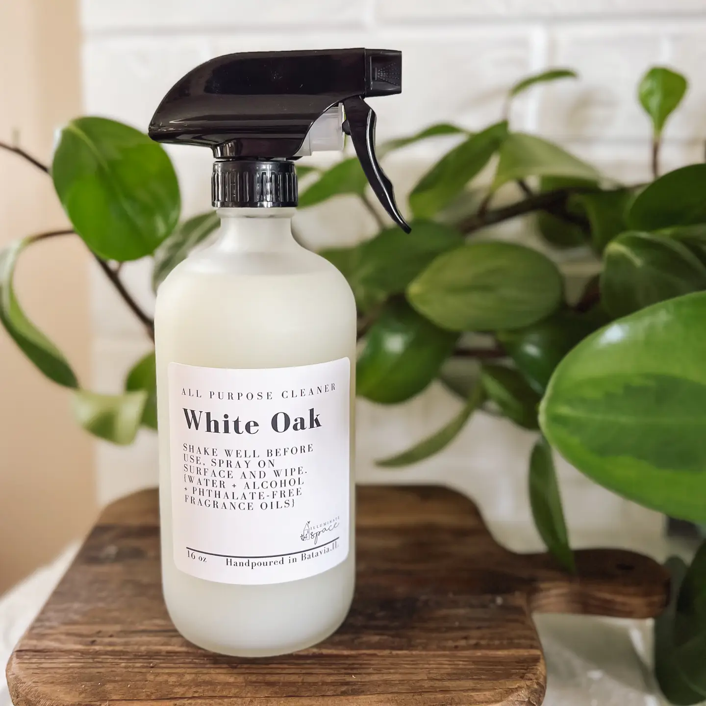All Purpose Cleaner Spray