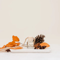Ivy+Sage: Spice No. 7 Car Diffuser