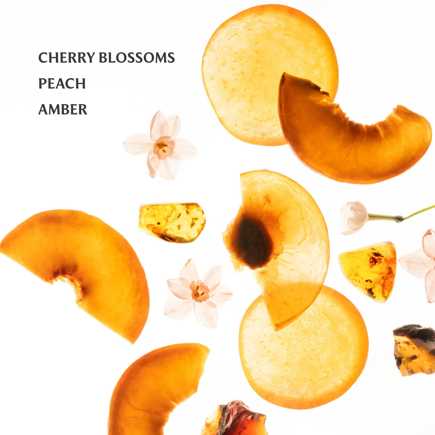 Touchland Hand Sanitizer: Velvet Peach