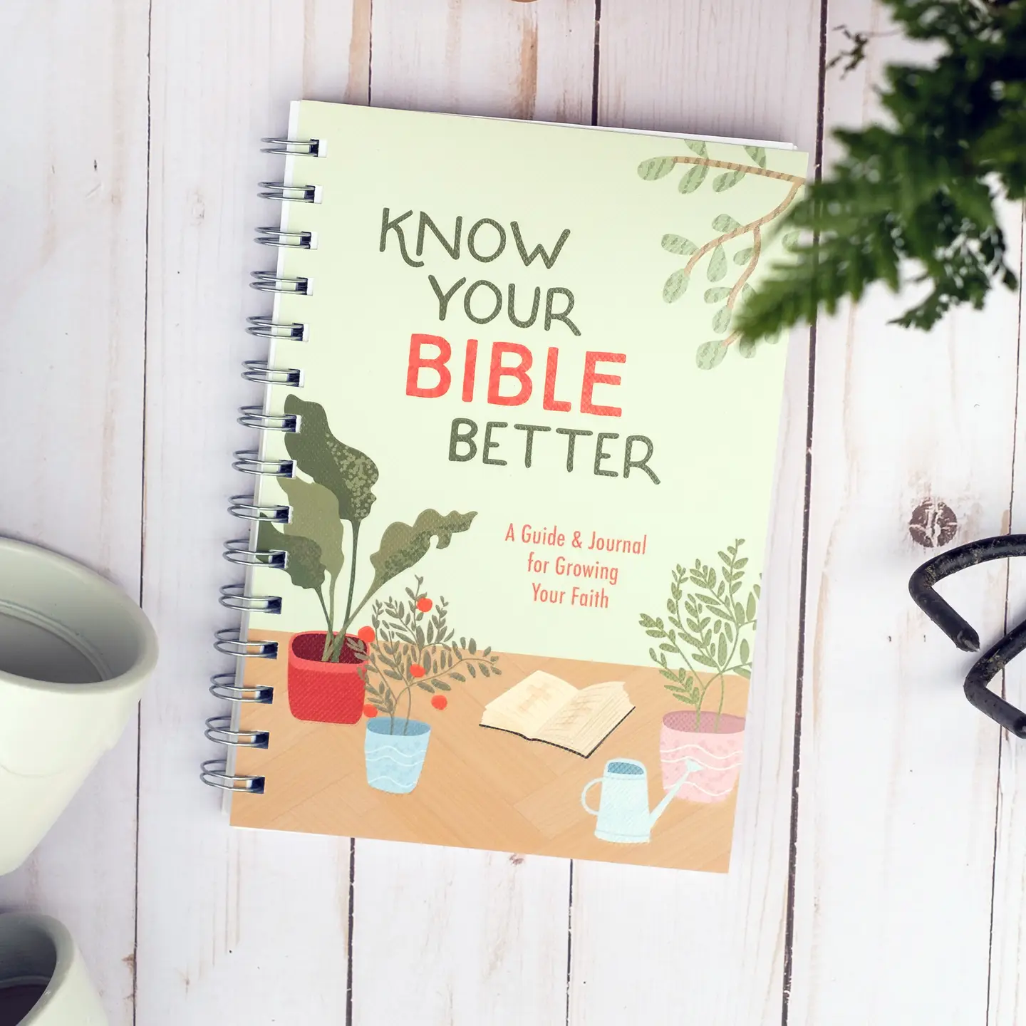 Know Your Bible Better: A Guide & Journal