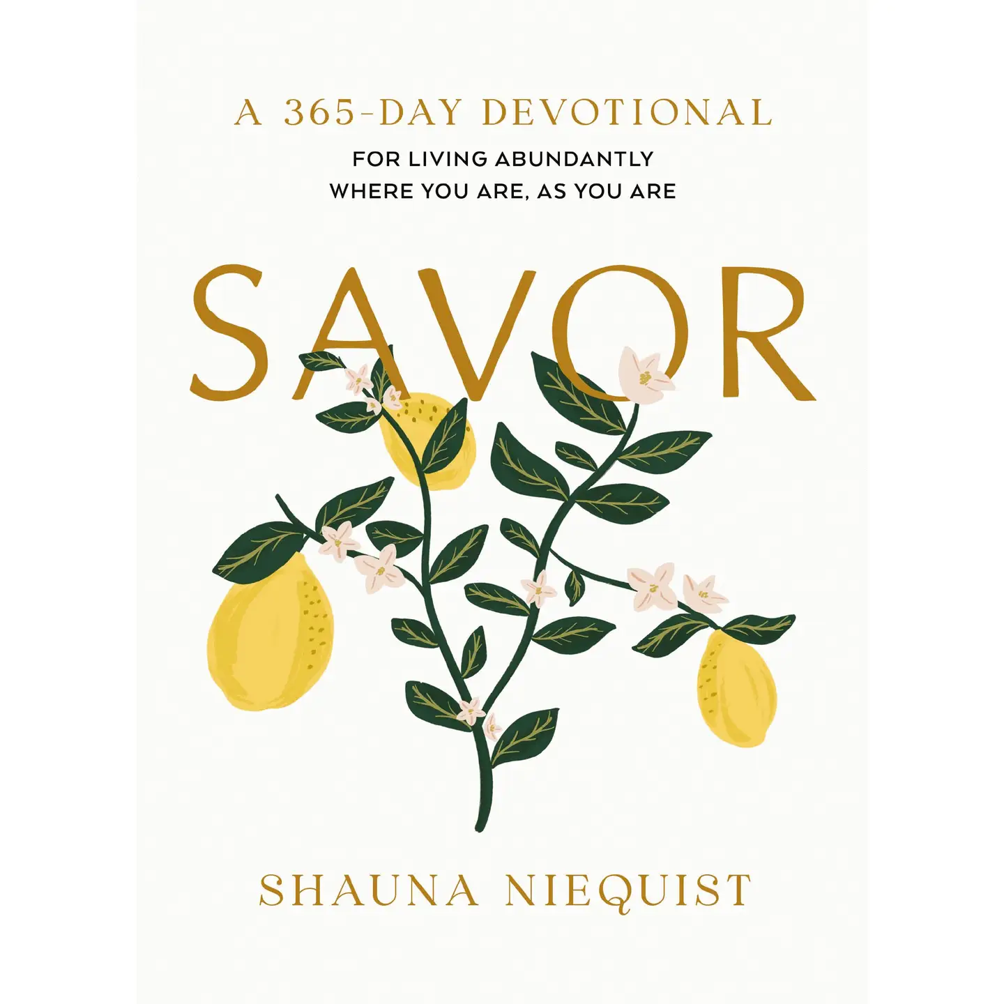 Savor: a 365 Day Devotional