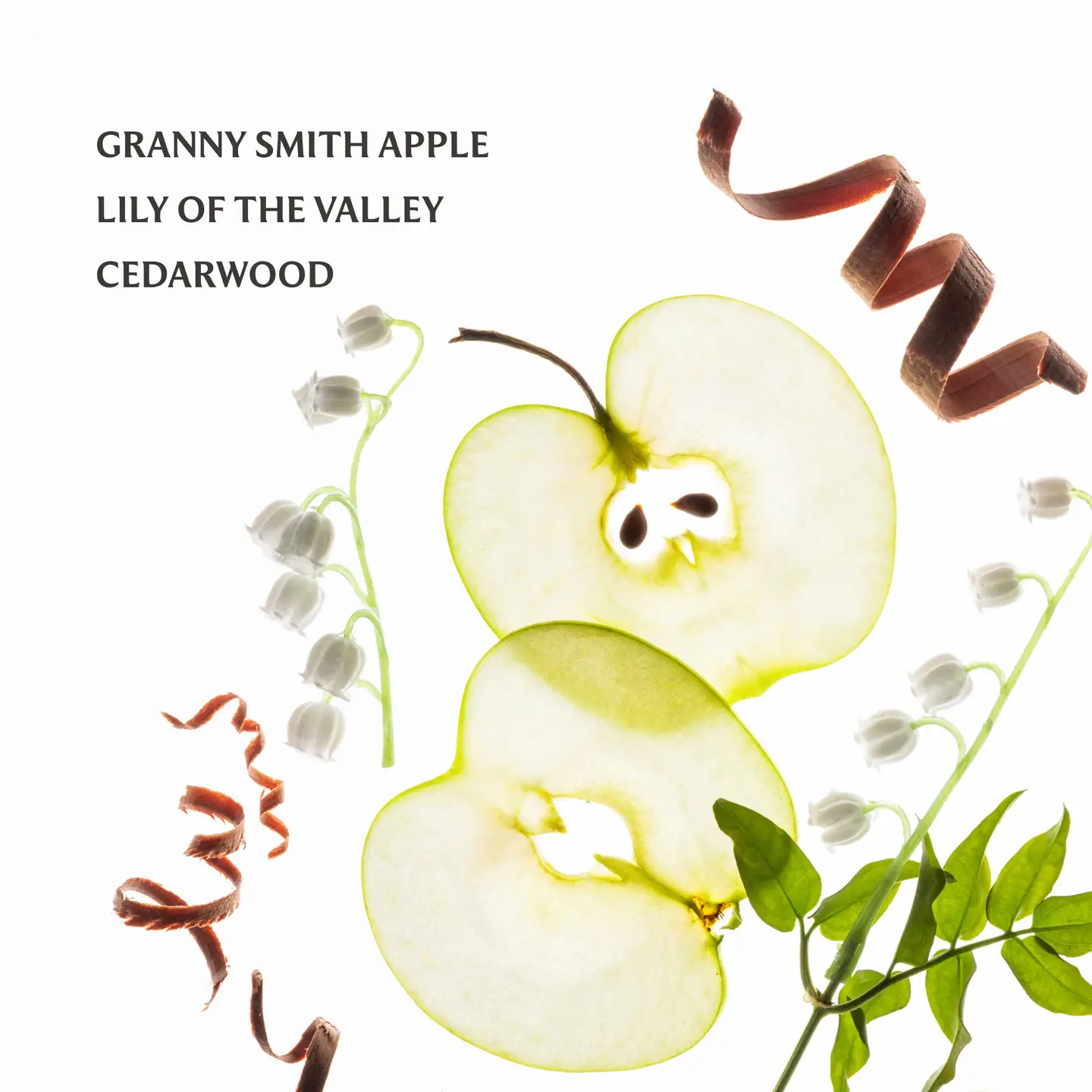 Touchland Hand Sanitizer: Applecious