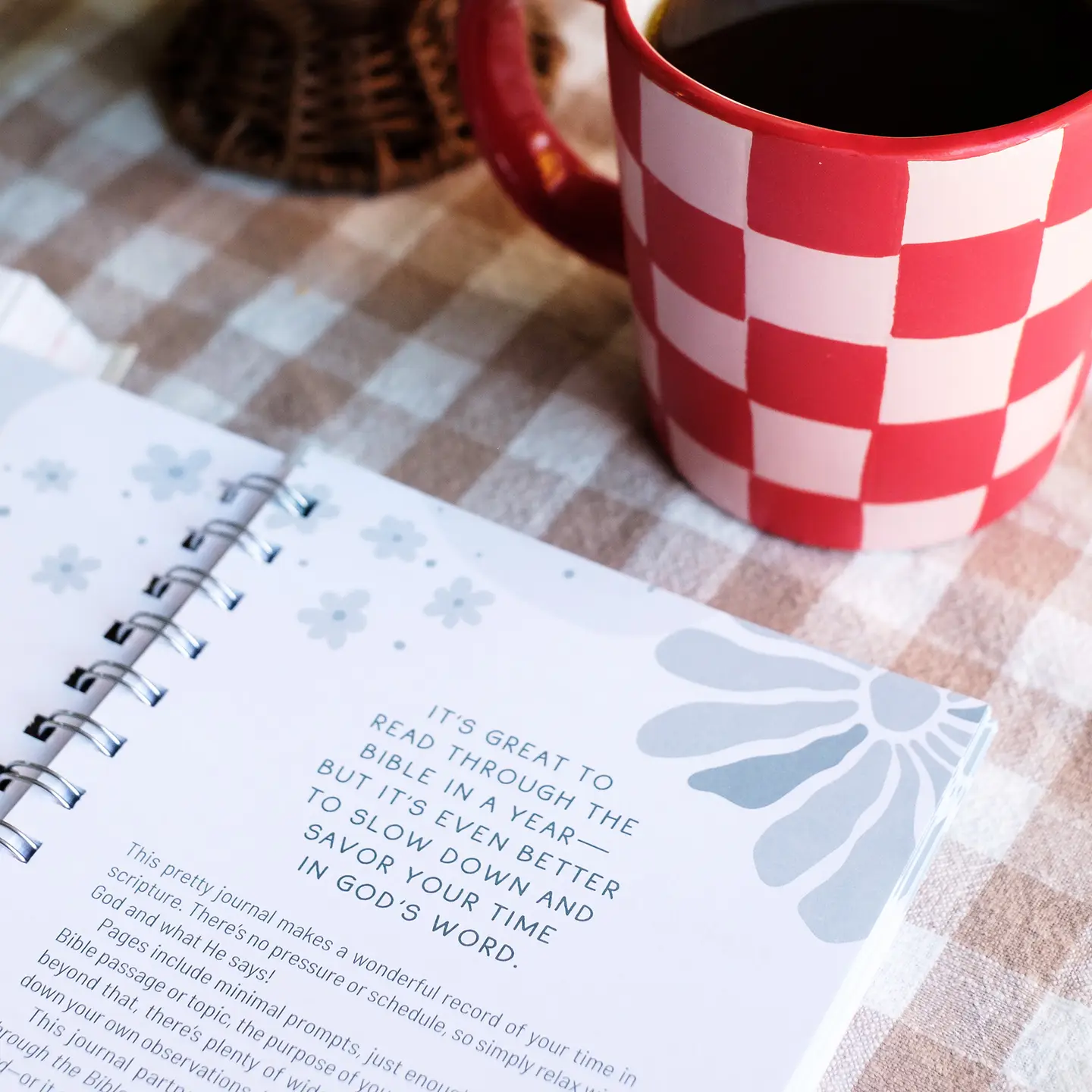 Taking Your Time Through the Bible Journal