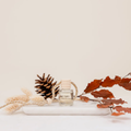 Ivy+Sage:Autumn Haze Car Diffuser