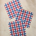 Geometry: Bunting Check Dishcloth Set